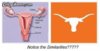 texas vagina.jpg