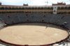 Bullfighting ring.jpg