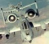 a-10warthog.jpg