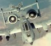 a-10warthog.jpg