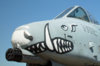 a-10-teeth.jpg