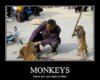 never-turn-your-back-on-monkeys.jpg