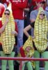 corn family.jpg