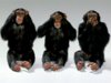 wildlife-monkeys-hear-no-evil-see-n.jpg