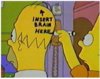 Homer insert brain.JPG