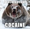 i-****ing-love-cocaine.jpg